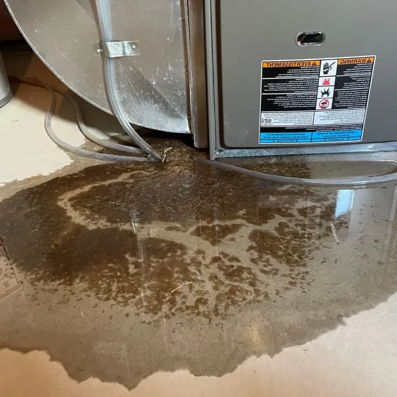 Pipe Burst and Leak Restoration in Middlebury, CT