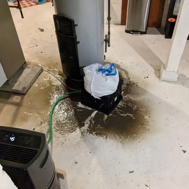 Sewage Backup Cleanup Service in Middlebury, CT